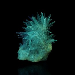 Aragonite (fluorescent) Eugui M05519